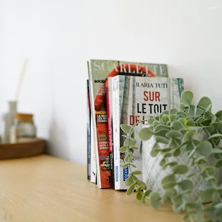 Le Dacher - Calme Et Lumineux En Centre Апартаменты *