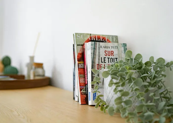 Le Dacher - Calme Et Lumineux En Centre Апартаменты *